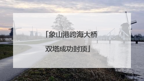 象山港跨海大桥双塔成功封顶
